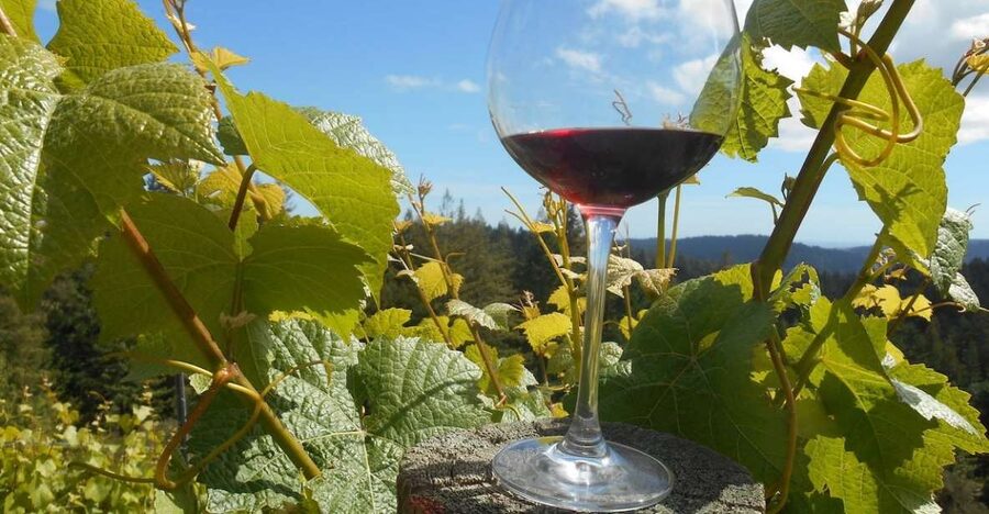 Carmel Valley Wine Tasting Tour - From Monterey hotels to Carmel Valley Village