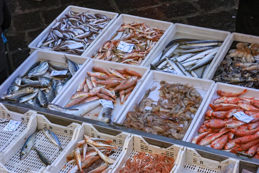 Catania: Street Food Guided Walking Tour - Key points to know before you book