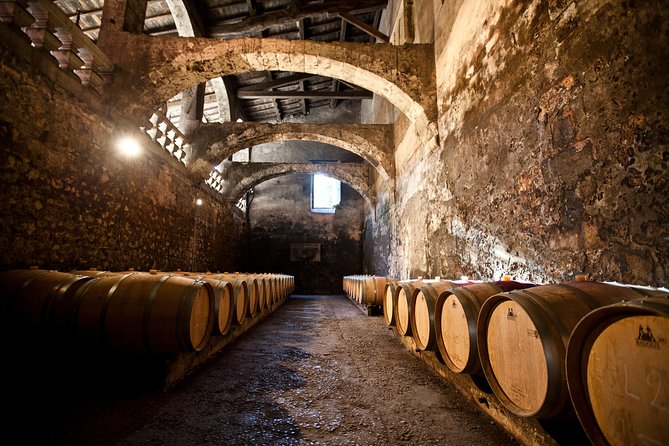 Chateau du Taillan and Park including Wine Tasting Tour - Why this château makes sense for a Bordeaux wine day