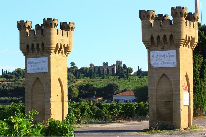 Châteauneuf du Pape Wine Day Tasting Tour including Lunch from Avignon - The guide can shape the whole day