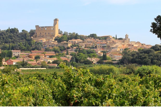 Châteauneuf du Pape Wine Day Tasting Tour including Lunch from Avignon - What the $193.57 price includes in practical terms