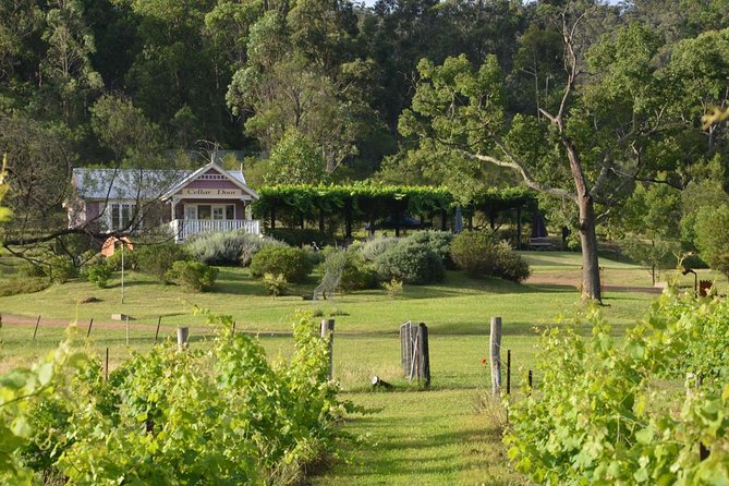 Chef-Led Hunter Valley Gourmet Food and Wine Day Tour from Sydney - The Hawkesbury River break adds seafood and scenery