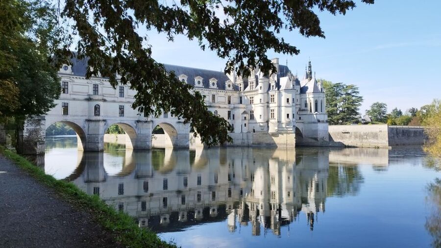 Chenonceau: E-Bike Guided Tour & Gourmet Picnic Lunch - A picnic worth slowing down for