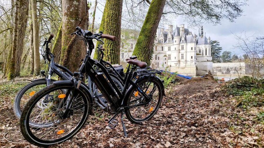 Chenonceau: E-Bike Guided Tour & Gourmet Picnic Lunch - Who should book this Loire Valley e-bike tour?