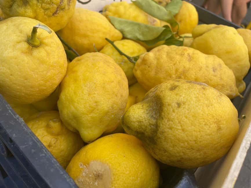 Civitavecchia: Historical and Culinary Walking Tour - The guide can shape the whole experience