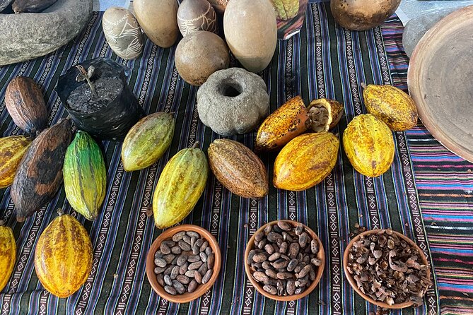 Coffee and Gastronomic Bike Tour in Antigua - Starting in Antigua on a fat-tire bike