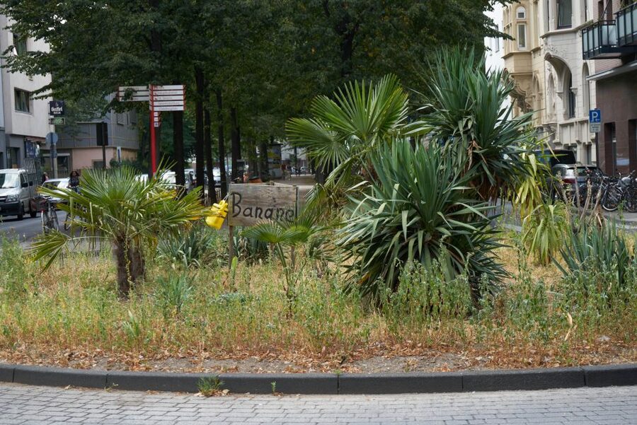 Cologne: Südstadt Guided Foodie Walking Tour - Who will enjoy this Südstadt food walk