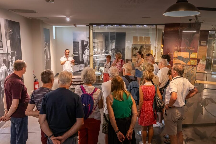 Confiserie du Roy René: gourmet guided tour of the calisson museum - Why the calisson deserves a museum of its own