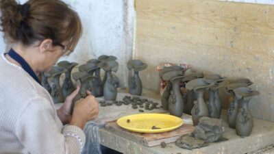 Full-Day Cretan Wines, Olive Oil, Raki and Food Tour