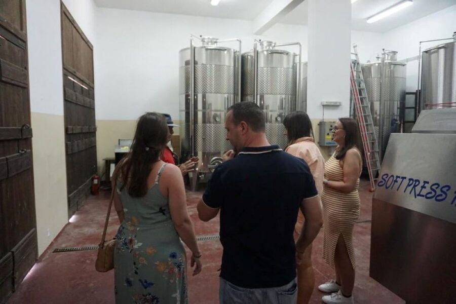 Crete: Full-Day Cretan Wines, Olive Oil, Raki and Food Tour - Thrapsano pottery adds a hands-on finish