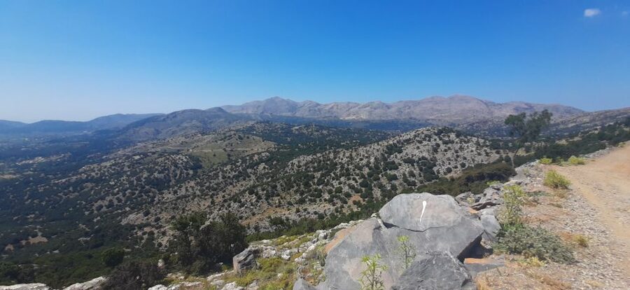 Crete: Olive, Wine, & Raki on a Flavorful Culinary Journey - Archanes and the final village stop