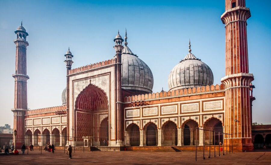 Delhi: Old Delhi City Tour with Tuk-Tuk Ride & Street Food - India Gate and the New Delhi finish