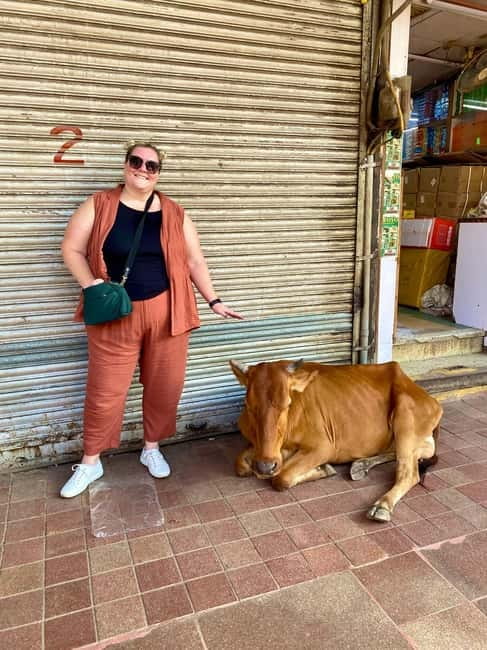 Delhi: Old Delhi's Street Food, Temples & Spice Market Tour - Starting at Lal Quila Metro Station
