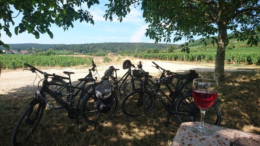Dijon: Half-Day Guided Gourmet Bike Tour - What the tasting really includes
