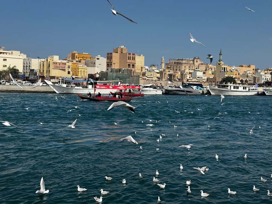 Dubai: Old Town Walking Tour with Abra Cruise & Street Food - Key points to know before booking