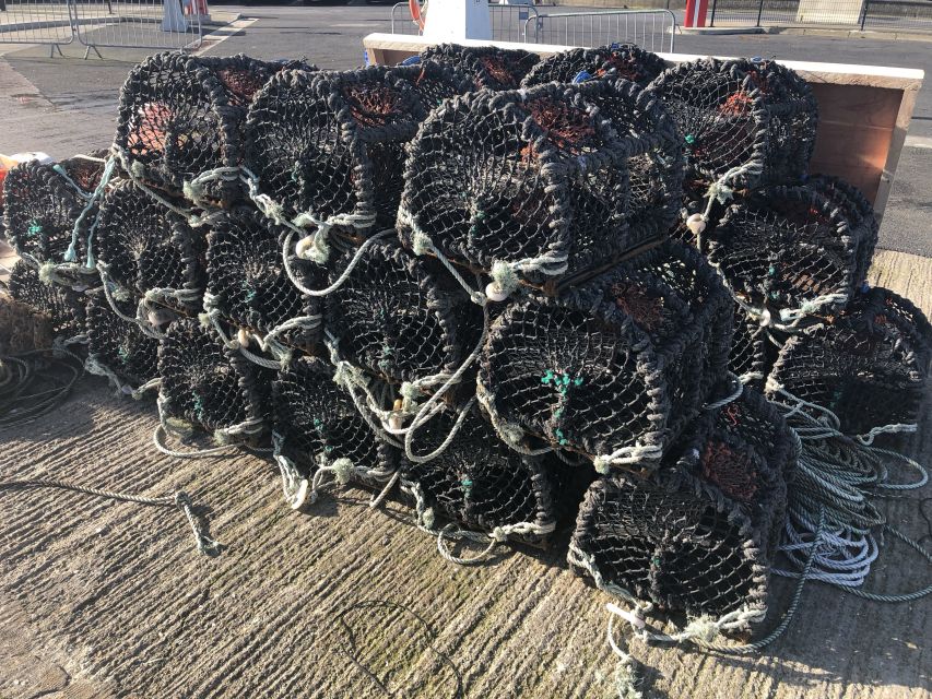 Dublin: Howth Coastal Craft Beer and Seafood Tour - Watching for seals at the harbor