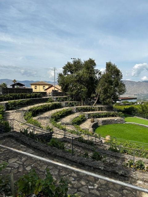 Etna: Wine Tasting and Food Tour - The second winery and the meal that anchors the day