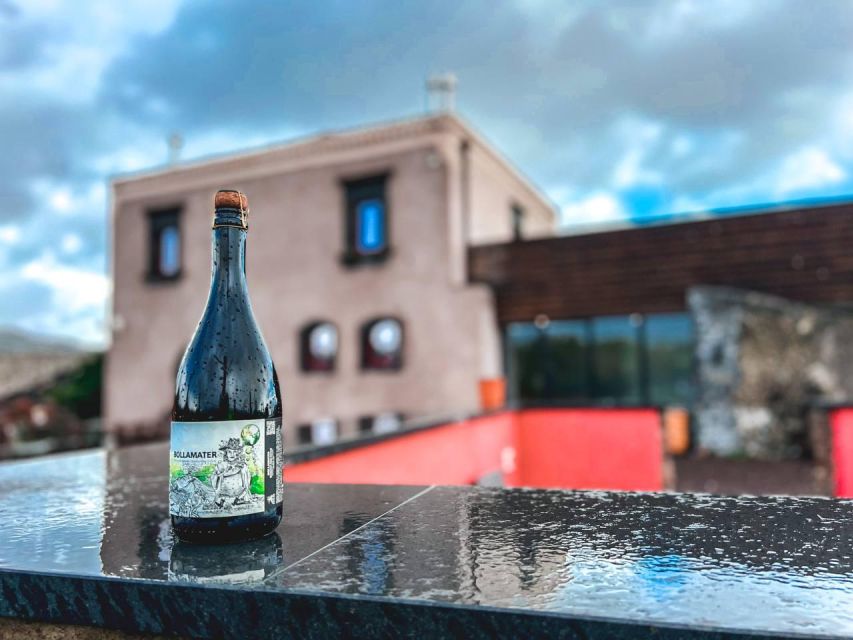 Etna: Wine Tasting and Food Tour - Walking the vineyards after lunch