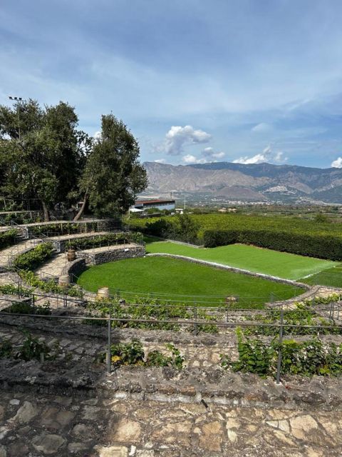 Etna: Wine Tasting and Food Tour - The pace, roads, and practical details