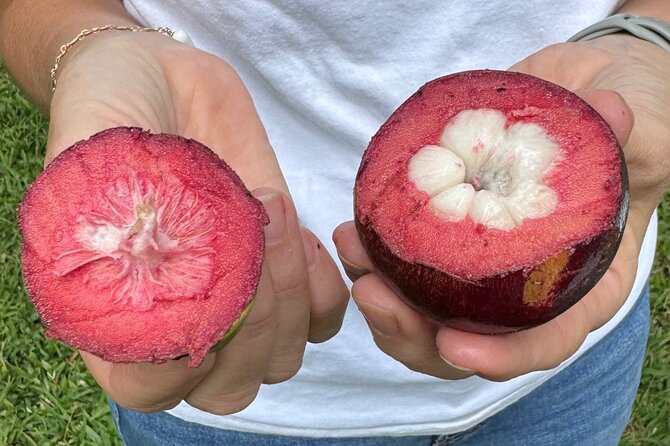 Exotic Fruit Tasting Tour in Kona - What makes this Kona fruit tour worth your time