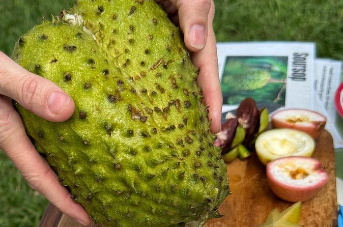 Exotic Fruit Tasting Tour in Kona - Why the small group matters
