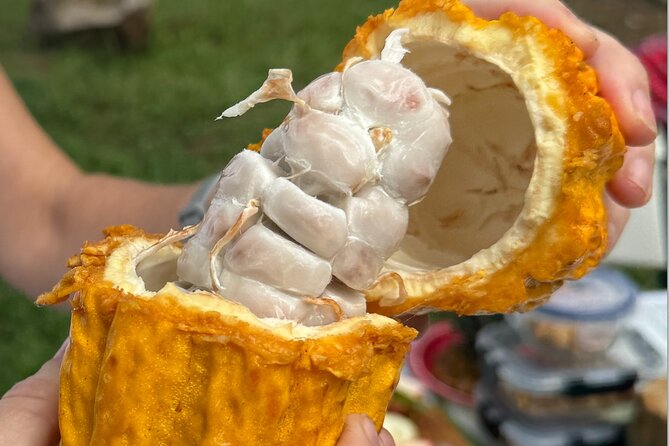 Exotic Fruit Tasting Tour in Kona - How the price measures up at $84.99