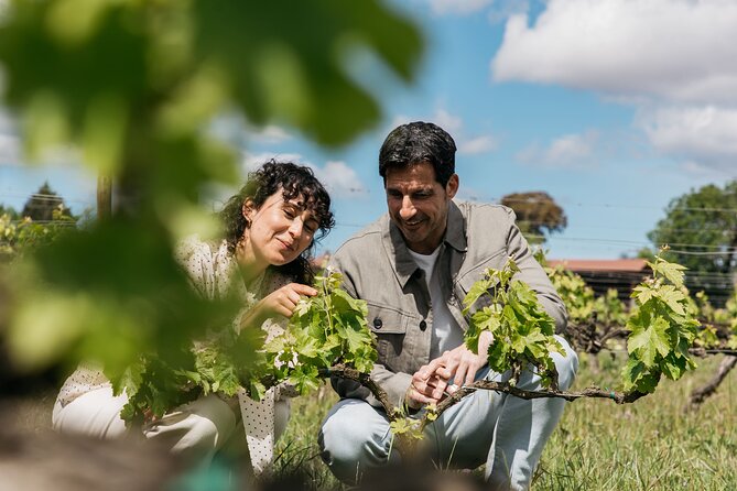 Familia Torres Winery: Gastronomic Tapas & Wine Experience - From Estació del Nord to the Penedès vineyards