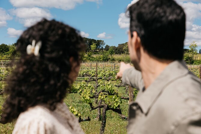 Familia Torres Winery: Gastronomic Tapas & Wine Experience - Free time at the shop