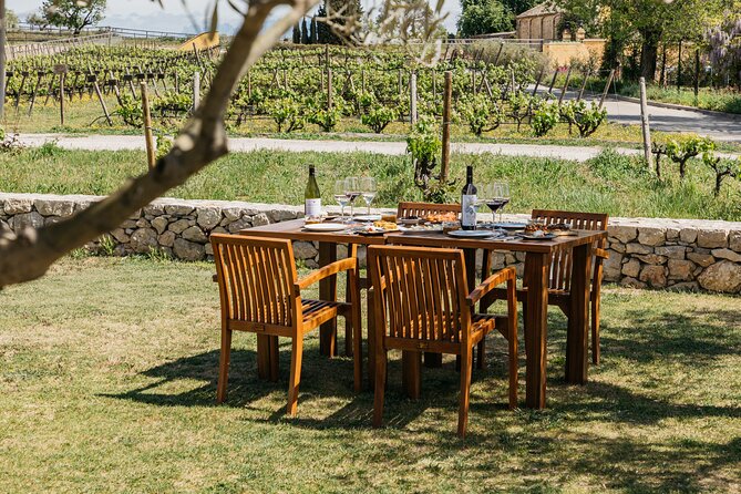 Familia Torres Winery: Gastronomic Tapas & Wine Experience - Who should book this Familia Torres experience?