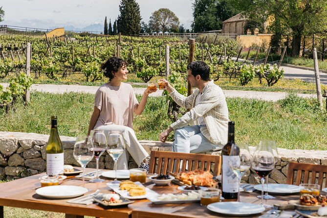 Familia Torres Winery: Gastronomic Tapas & Wine Experience - Should you book it?