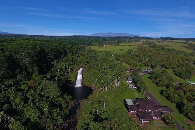 Farm to Table Cooking Class at Kulaniapia Falls - Waterfall, bamboo gardens, and views near Hilo