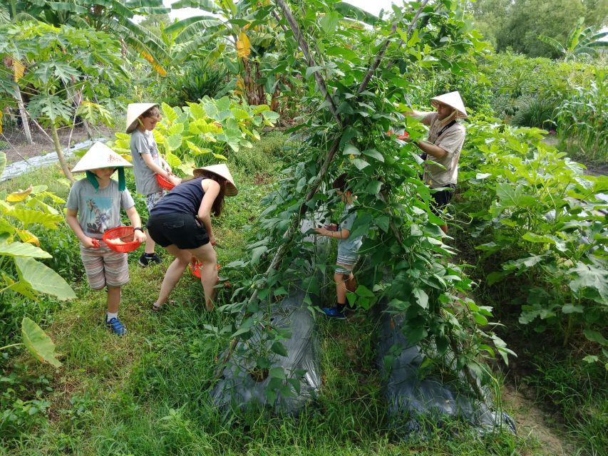 Farm-To-Table Healthy Cooking Class: Half-Day Tour - Who should book this farm cooking class