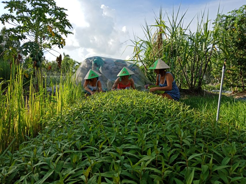 Farm-To-Table Healthy Cooking Class: Half-Day Tour - From Ho Chi Minh City to the farm