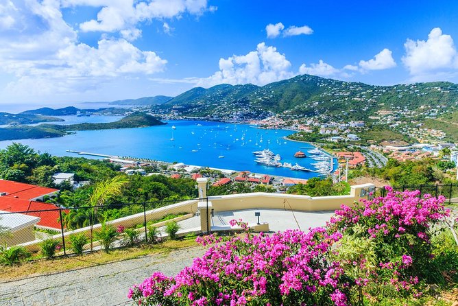 Flavors of St Thomas Walking Food Tour - What you may taste at the restaurant stops