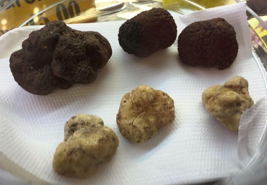 Florence: Guided Food Tour with Fiorentina Steak and Wine - Gelato at La Strega Nocciola
