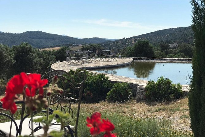 Food and Wine pairing Dinner at Karnas Vineyards Bodrum - A quiet change from Bodrum’s beach routine
