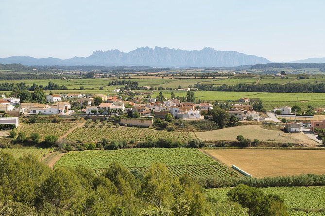 Food and Wine Small Group Tour from Barcelona - Maximum 8 people - Into Penedès for cava and wine