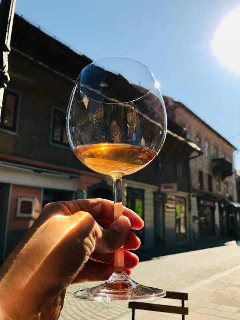 Food & Wine tour with a Sommelier - Tasting Slovenia through its regions