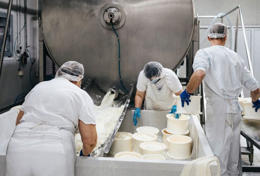 From Bologna: Emilia Excellence Food Tour - Key points to know before booking