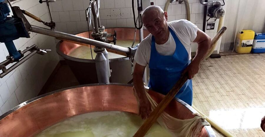 From Bologna: Emilia Excellence Food Tour - Why this food tour works
