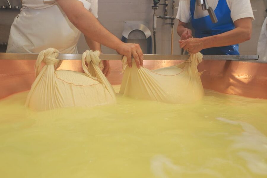 From Bologna: Emilia Excellence Food Tour - Traditional balsamic vinegar in Modena