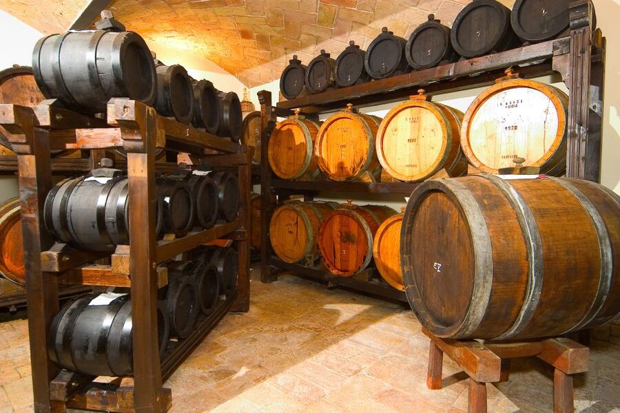 From Bologna: Emilia Excellence Food Tour - Wine, countryside, and the final tasting
