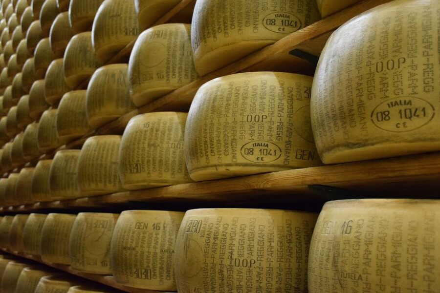 From Bologna: Emilia Excellence Food Tour - What lunch adds to the day