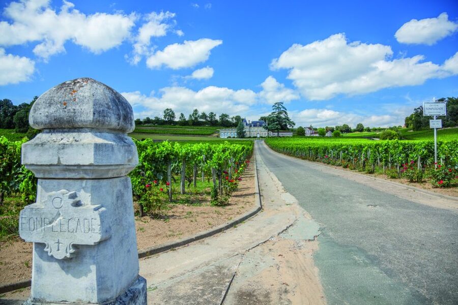 From Bordeaux: Full-Day St Emilion Wine Tasting Tour - Three châteaux, three ways to understand Bordeaux