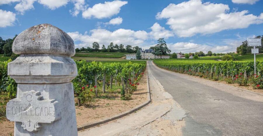 From Bordeaux: Full-Day St Emilion Wine Tasting Tour - Saint-Émilion, stone streets and two hours of free time