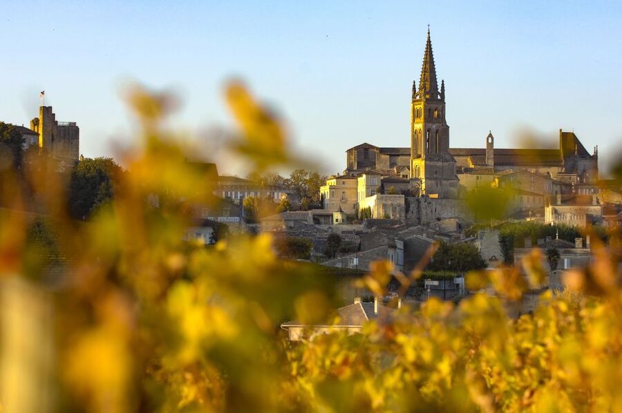 From Bordeaux: Full-Day St Emilion Wine Tasting Tour - Guides make or break a wine day