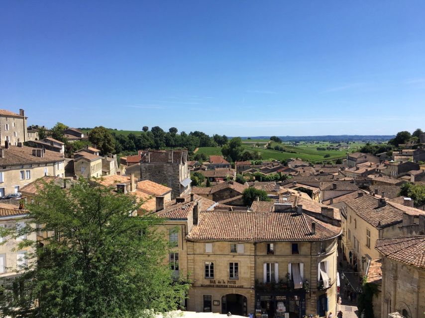 From Bordeaux: Saint-Emilion Guided Wine Tasting Tour - The family winery and its French aperitif