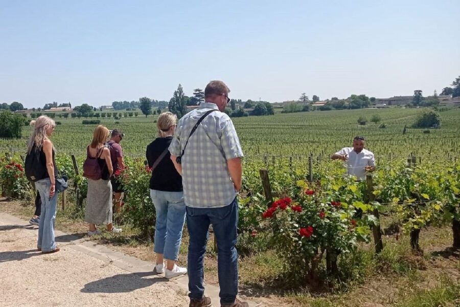 From Bordeaux: Saint-Emilion Guided Wine Tasting Tour - What $129 buys you