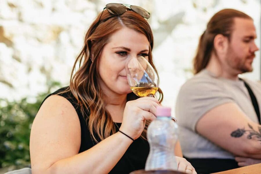 From Budapest: Etyek Wine Tasting Tour with 3-Course Meal - A second or third winery adds contrast