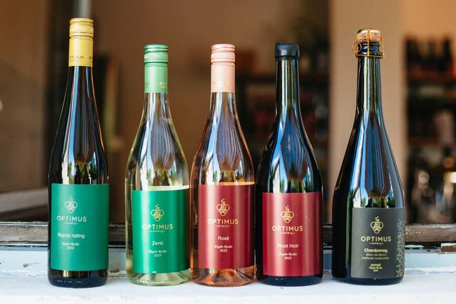 From Budapest: Etyek Wine Tasting Tour with 3-Course Meal - Group size, timing, and the feel of the day